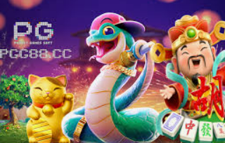 彩神VIl彩票2024最新版